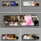 Refillable Gas Lighters - CUTE CATS/KITTENS DESIGN - FULL SETS OF 5 LIGHTERS