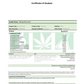 Hempura 500mg CBD Broad Spectrum Oil with terpenes - 10ml